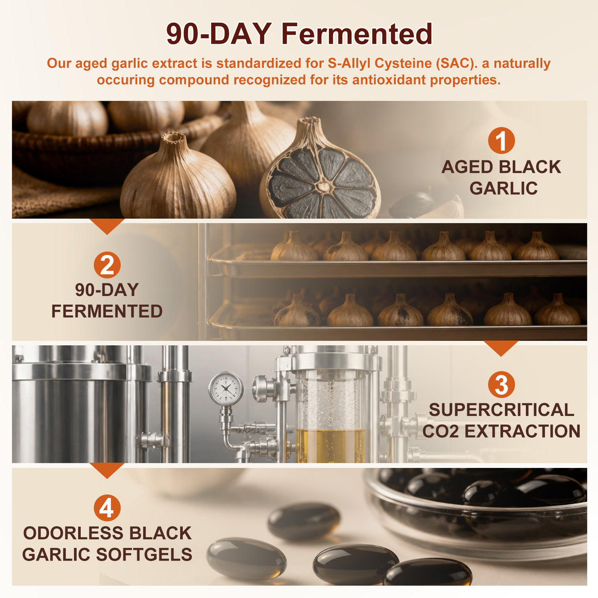 Fermented Black Garlic Softgels with CoQ10 & Vitamin K2 – 300 Softgels | Stopcry